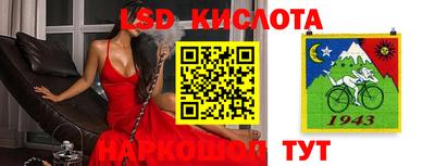 спиды Тара