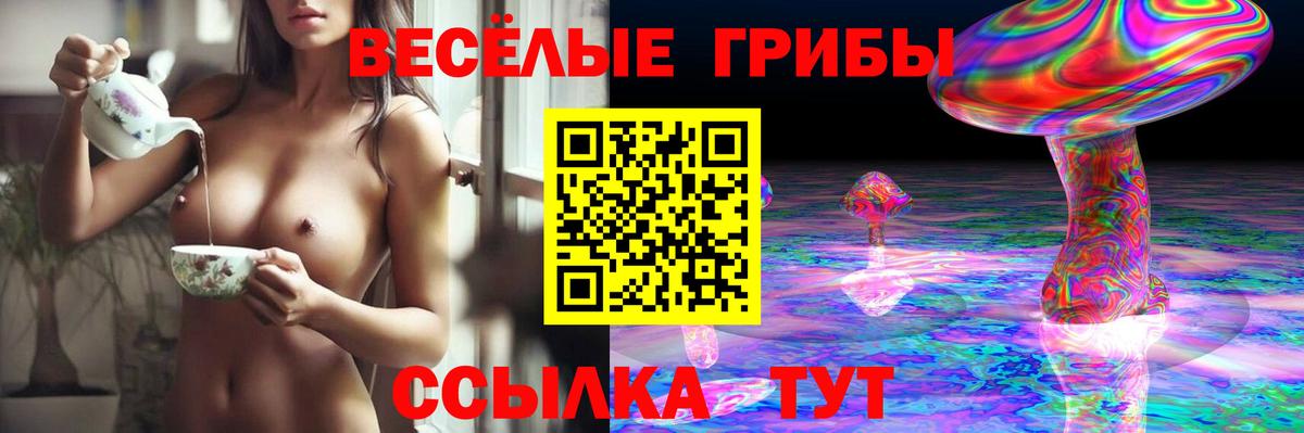 Луга  Псилоцибиновые грибы мицелий  Галлюциногенные грибы MAGIC MUSHROOMS  Вход с VPN 